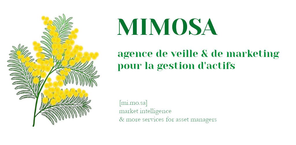 mimosa-home-veille